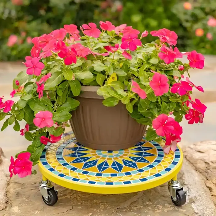13.8″ Plant Trolley “Astana”