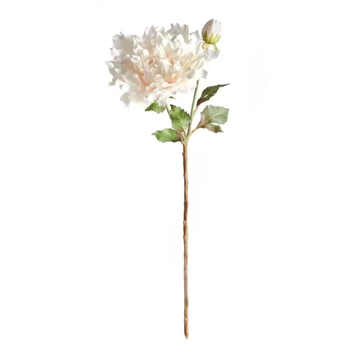 21.5″ Dahlia Stem Cream