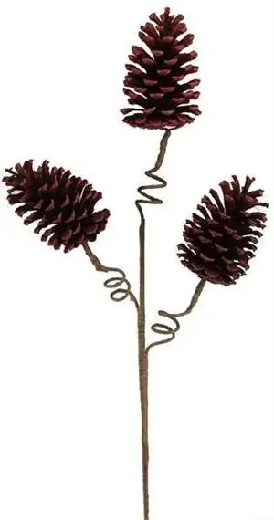 27″ Painted Pinecone Burgundy