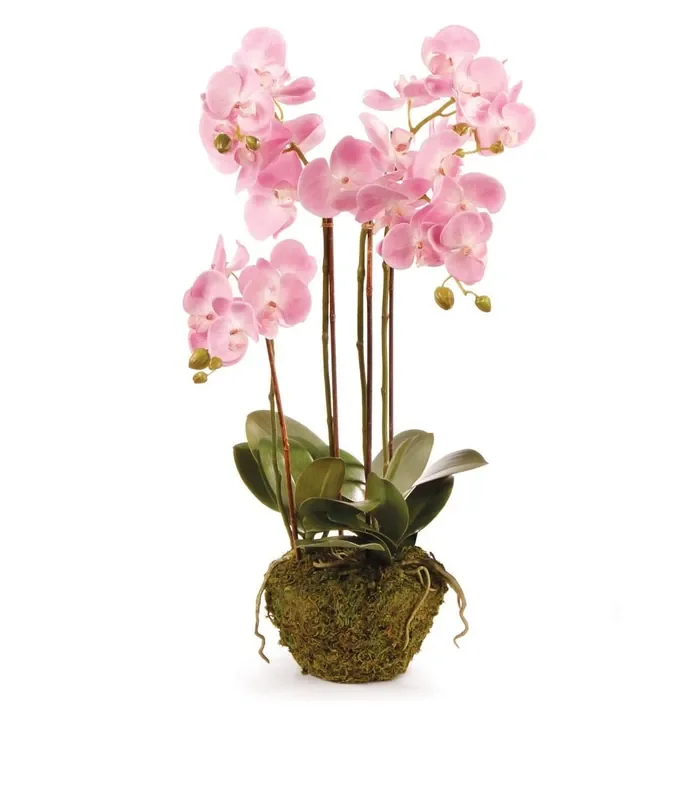 30″ Pink Phalaenopsis Drop-In – Napa Home & Garden