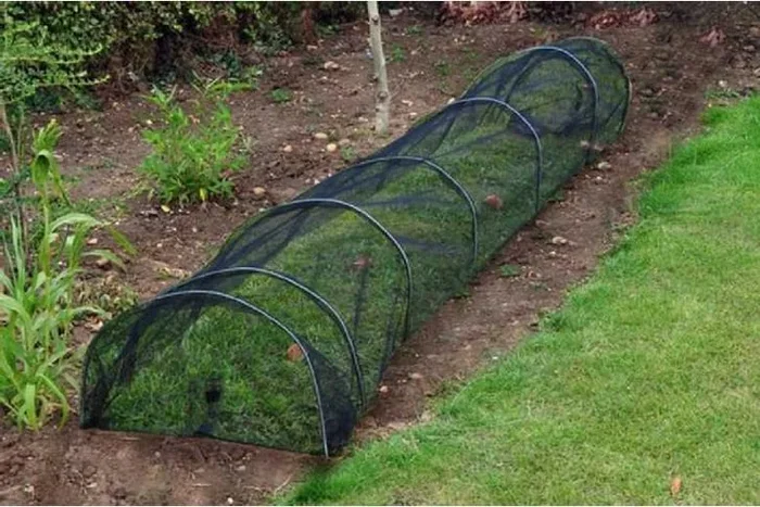 3M Easy-Setup Plant Grow Tunnel Net – Your Garden’s Reliable Ally