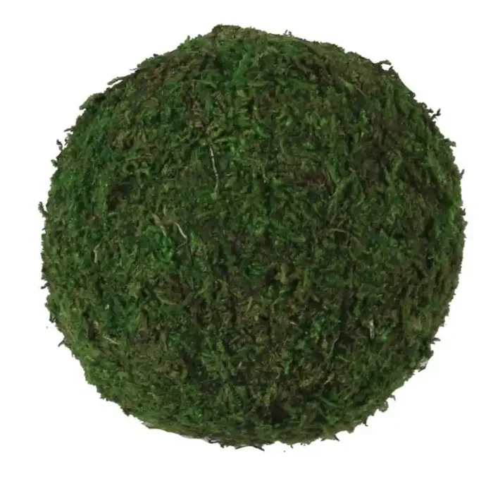 4″ Moss Ball