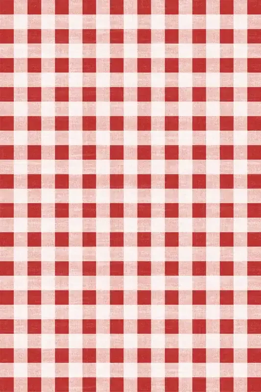 Adama Vinyl Floor Rug (Gingham Check Red)