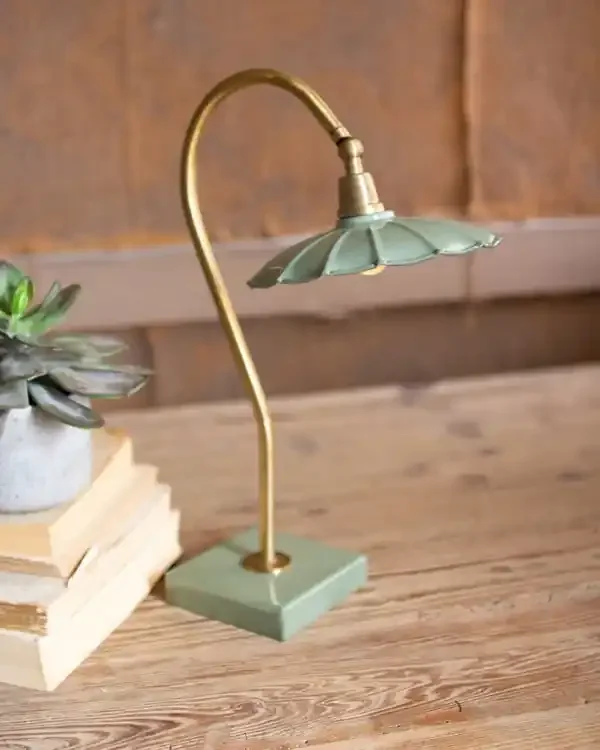 Antique Brass Goose Neck Table Lamp With Enamel Shade