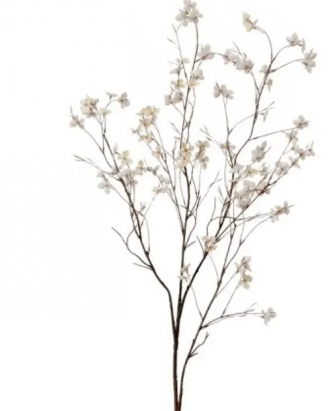 Autumn Wild Dogwood Spray