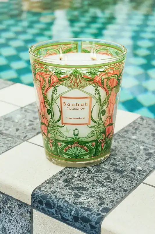 Baobab Candle- Tomorrowland (Max 16)