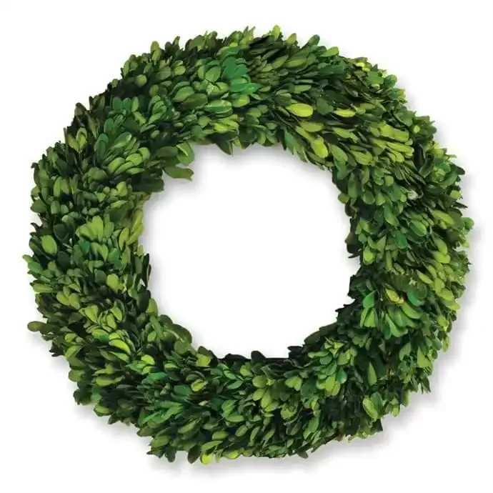 Boxwood Wreath 12″