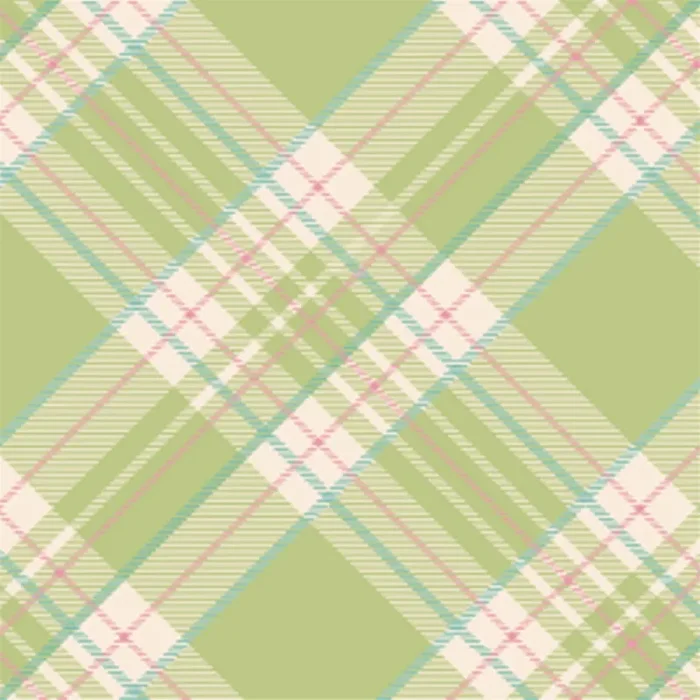 Bright Green Plaid Cocktail Napkin – Pack of 20 – Hester & Cook