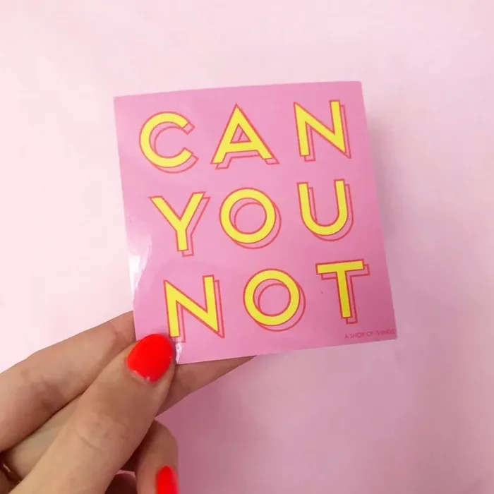 Can You Not Square Vinyl Sticker in Pink