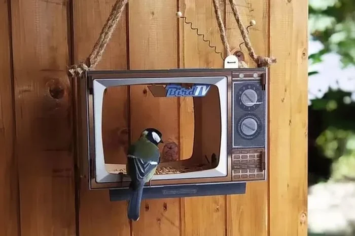 Charming TV-Shaped Hanging Wooden Bird Feeder