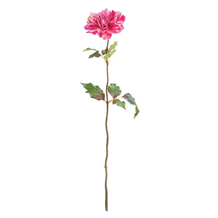 Dahlia Stem 26″