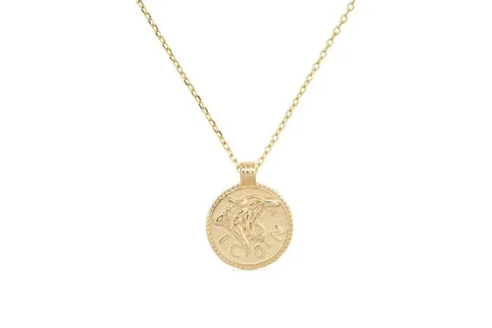 Elk & Bloom Luxurious Chunky 14K Gold Leo Coin Necklace
