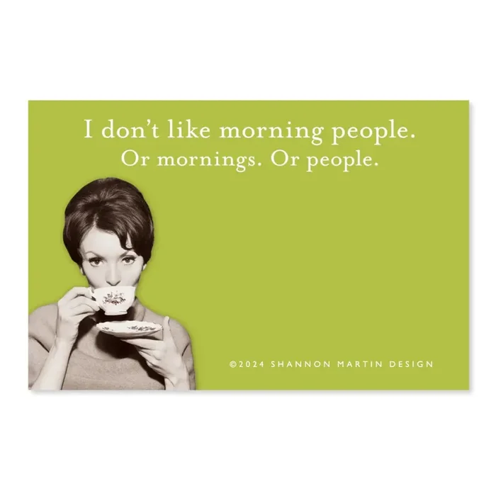 I Don‘t Like Morning People, Or Mornings, Or People Sticky Notes in Green Retro Stationery
