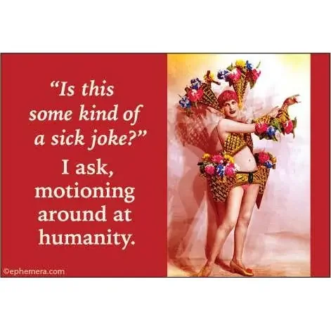 Is This Some Kind Of Sick Joke? I Ask, Motioning Around At Humanity. Refrigerator Magnet 3.5″ x 2.5″