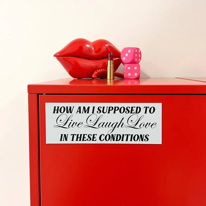 Live Laugh Love In These Conditions Car Magnet Weatherproof Vehicle Magnetic Surface Decor 3″ x 8.5″