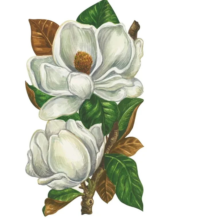 Magnolia Blooms Table Accent