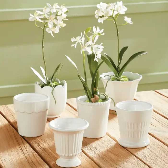 Mirabelle Mini Pots Assorted – Napa Home & Garden