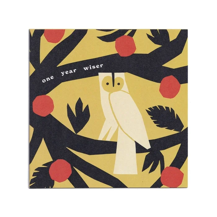 One Year Wiser Owl Greetings Card