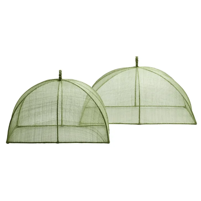 Rachel Pale Green Rectangular Food Covers Set/2