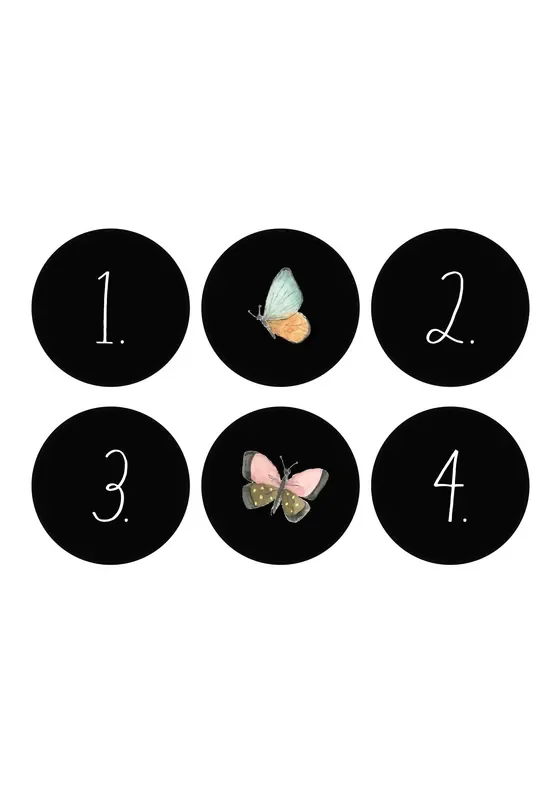 Rae Dunn Set of 6 Black Round Door Knobs with Butterflies