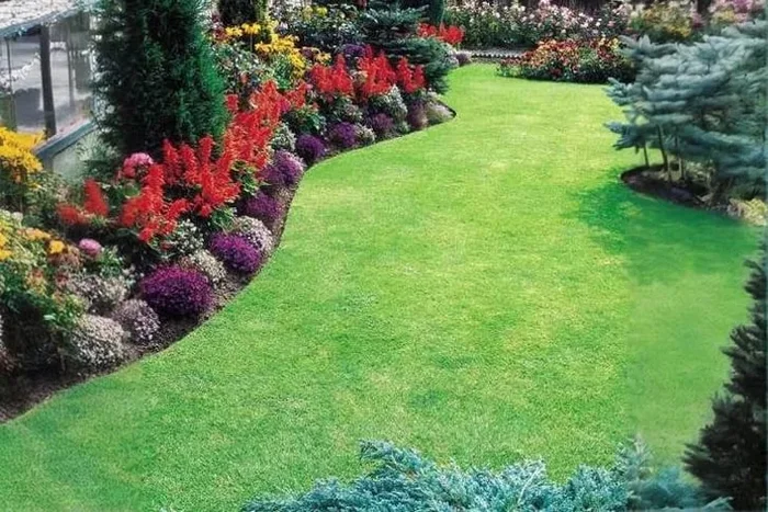 Rapid Green Self-Repairing Lawn Seed