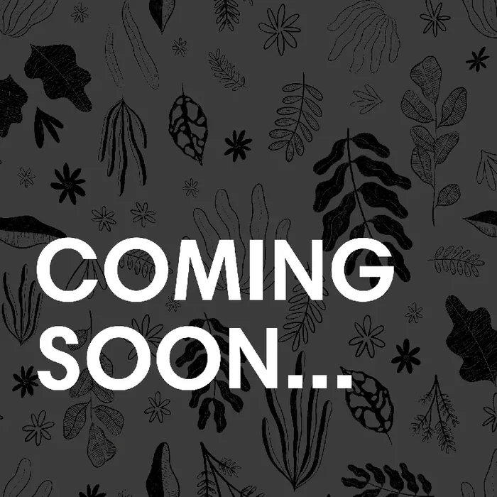 Rosa ‘Palace Kailani’ – White Patio Rose