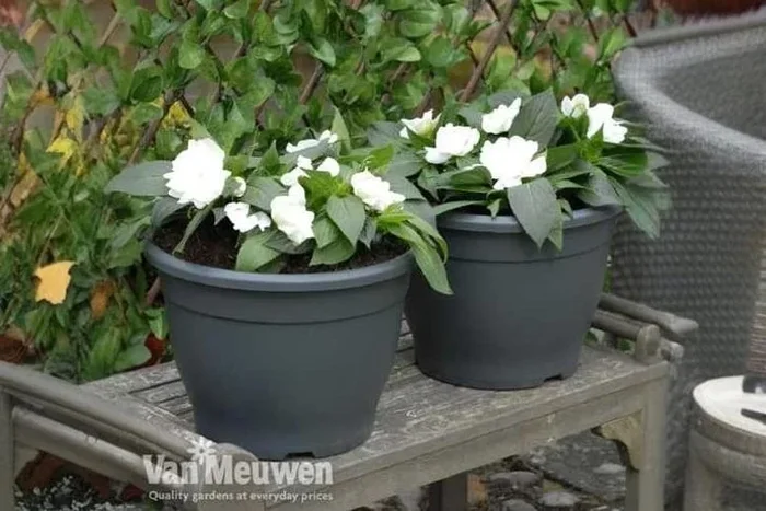 Sabina Dark Grey Deluxe Patio Planters – 32cm Lightweight Outdoor Pots