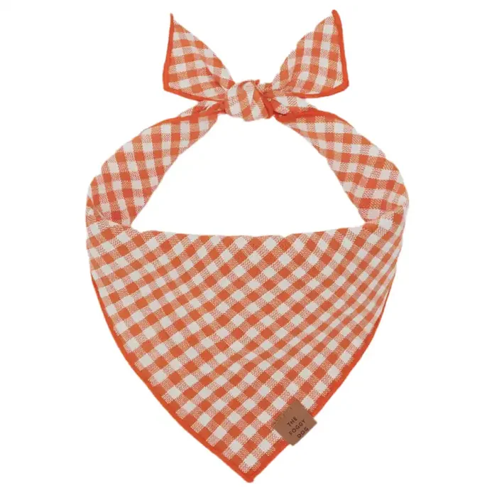 The Foggy Dog Bandana – Cider Gingham