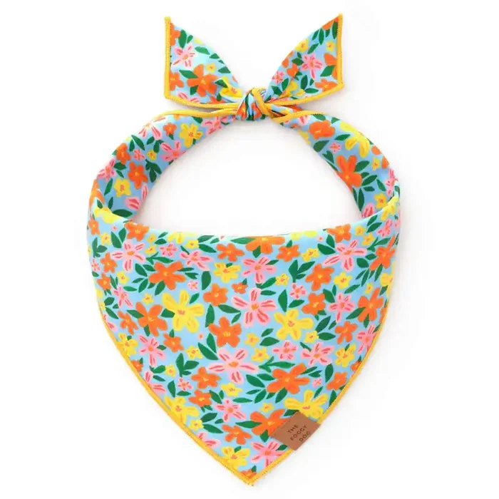 The Foggy Dog Bandana – Island Time