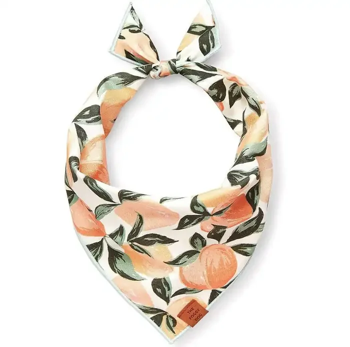 The Foggy Dog Bandana – Peaches and Cream