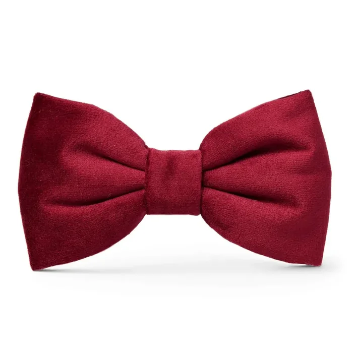 The Foggy Dog Bow Tie – Burgundy Velvet