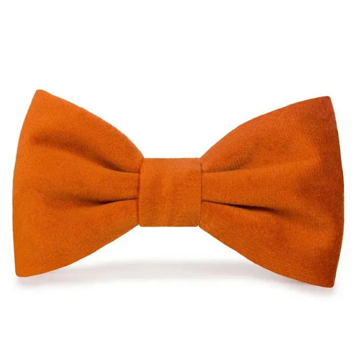 The Foggy Dog Bow Tie – Pumpkin Velvet