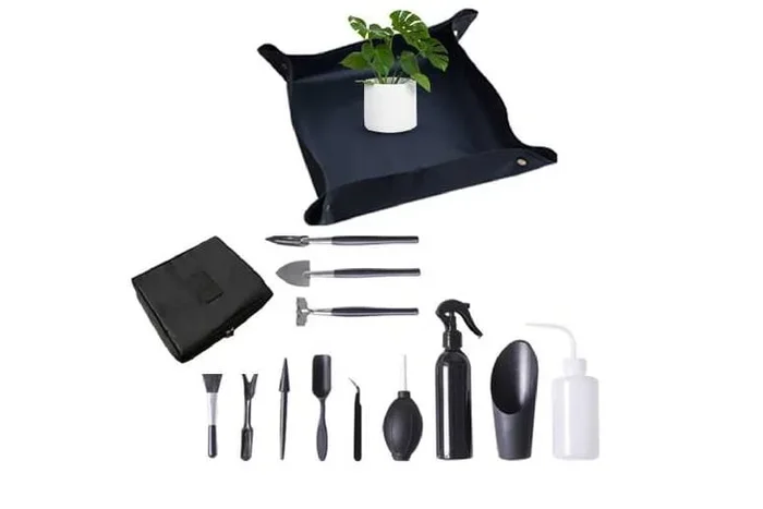 Ultimate 12-Piece Succulent Gardening Delight Kit