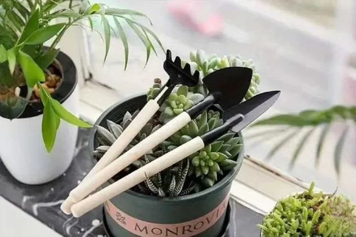 Ultimate 3-Piece Mini Gardening Toolkit