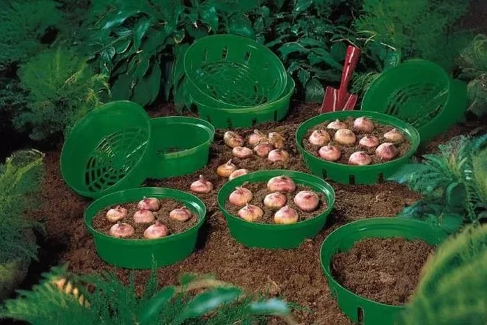 Ultimate Bulb Basket Set: Effortless Plant & Lift x 15