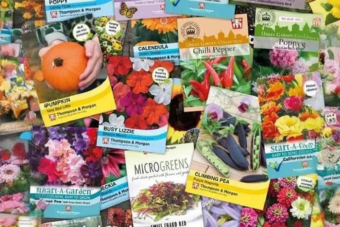 Up to 200 Mixed Flower, Vegetable & Herb Seed Packets – Lucky Dip Selection