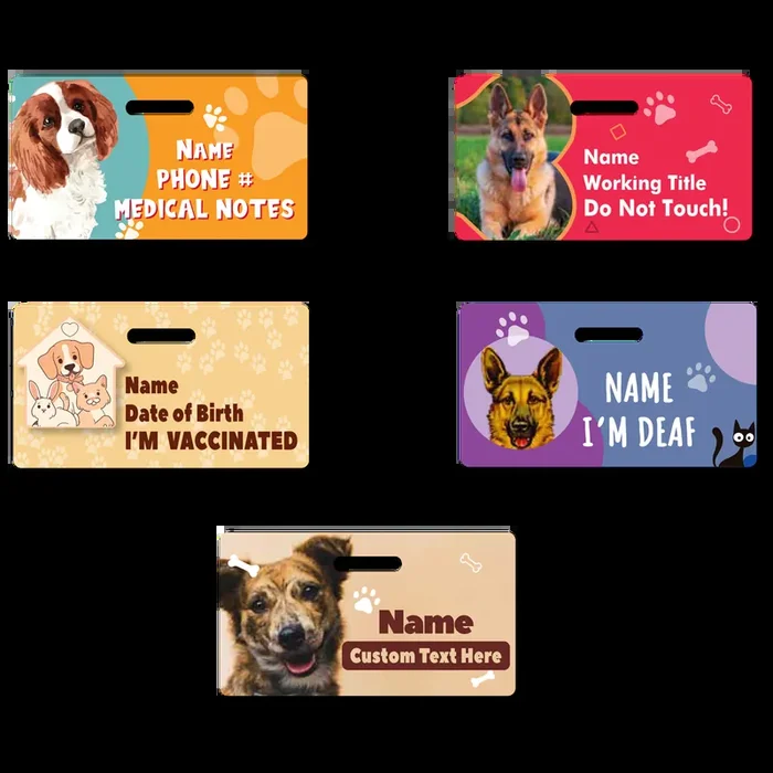 Vertical Custom Hospital ID Badge Topper