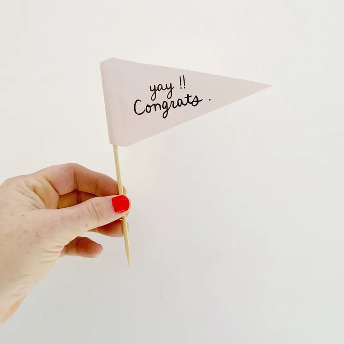 Yay, Congrats Pennant Flag Handmade Plant or Cake Topper